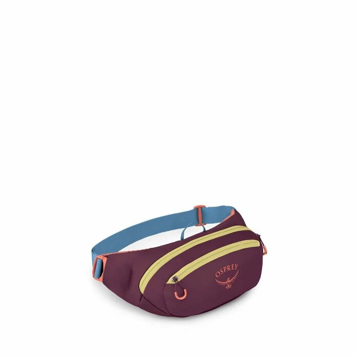 Daylite Everyday Waist Pack - 2 Pocket - 2 Liter